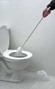 EXTENDED TOILET BRUSH