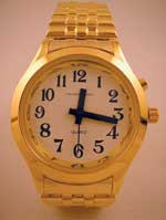 QUANTUM FASHION TALKING/ANALOGUE WATCH